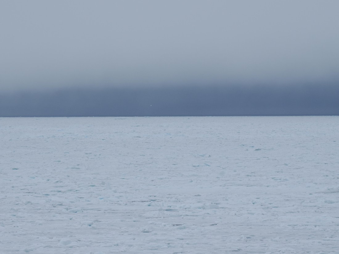 OTL03-26, Day 7, P6110768© Unknown photographer - Oceanwide Expeditions.JPG
