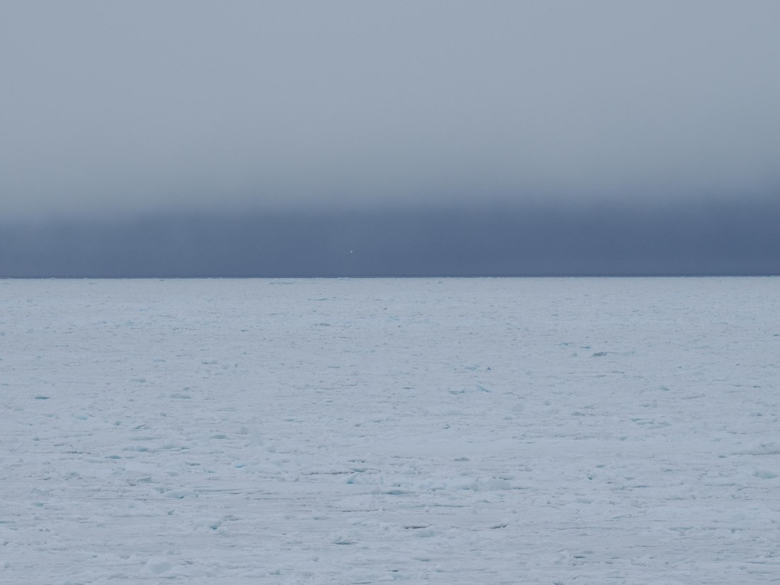 OTL03-26, Day 7, P6110769© Unknown photographer - Oceanwide Expeditions.JPG