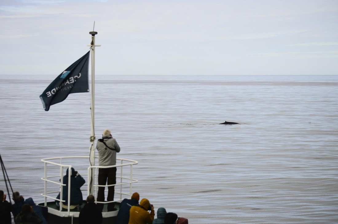 PLA03C26, Day 7, _DSC0719.JPG © Esther Josten - Oceanwide Expeditions.JPG