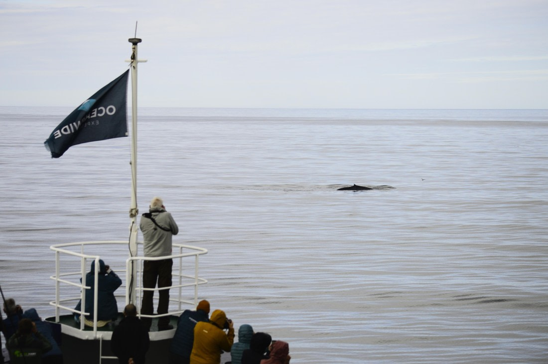PLA03C26, Day 7, _DSC0721.JPG © Esther Josten - Oceanwide Expeditions.JPG