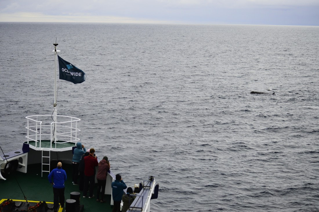 PLA03C26, Day 8, _DSC1030.JPG © Esther Josten - Oceanwide Expeditions.JPG
