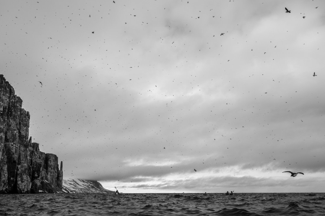HDS04-26, Day 4, DSC_5662 © Unknown Photographer - Oceanwide Expeditions.jpg