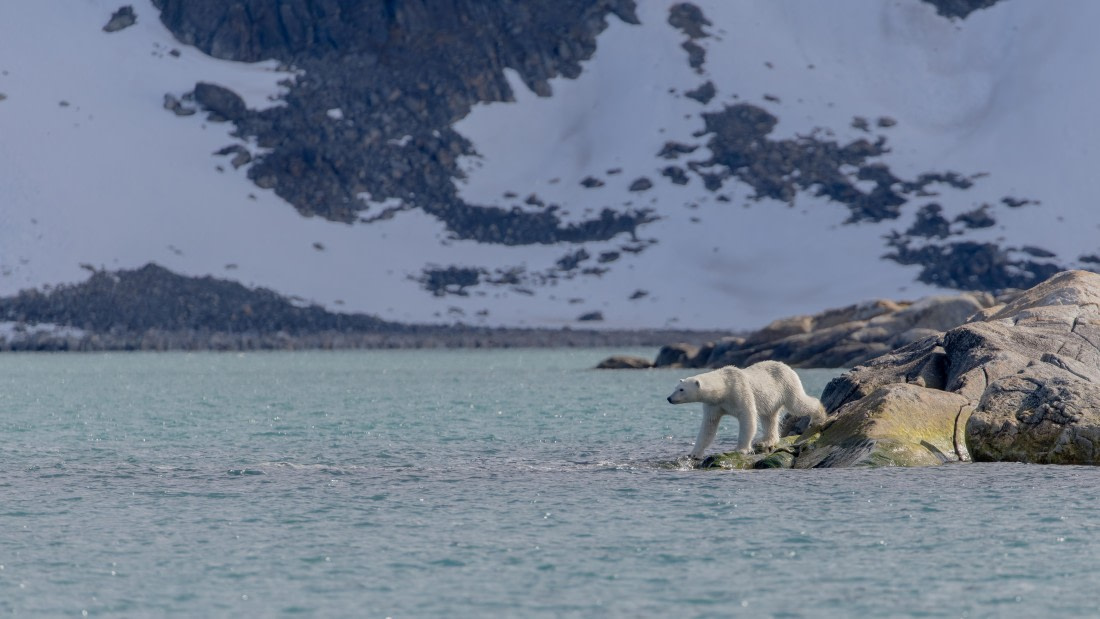 OTL04-26, Day 2, PippaLow-8921© Pippa Low - Oceanwide Expeditions.jpg