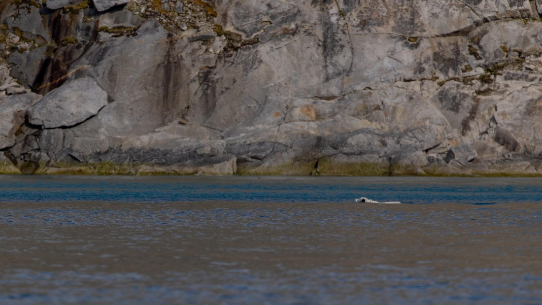 OTL04-26, Day 2, PippaLow-9355© Pippa Low - Oceanwide Expeditions.jpg