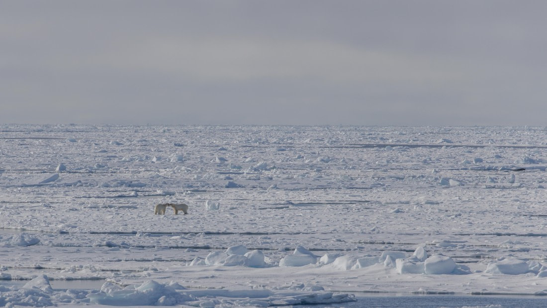 OTL04-26, Day 5, PippaLow-1062© Pippa Low - Oceanwide Expeditions.jpg