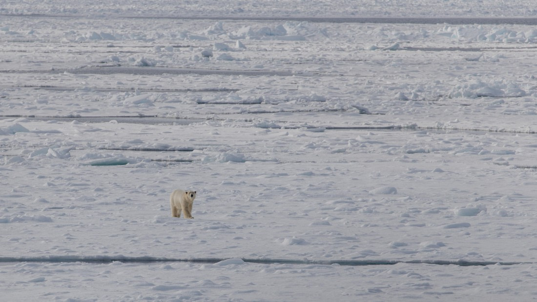 OTL04-26, Day 5, PippaLow-1284© Pippa Low - Oceanwide Expeditions.jpg