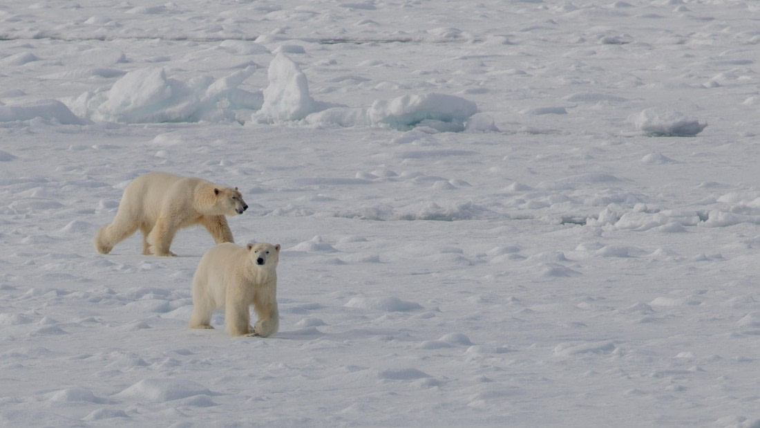 OTL04-26, Day 5, PippaLow-1306© Pippa Low - Oceanwide Expeditions.jpg