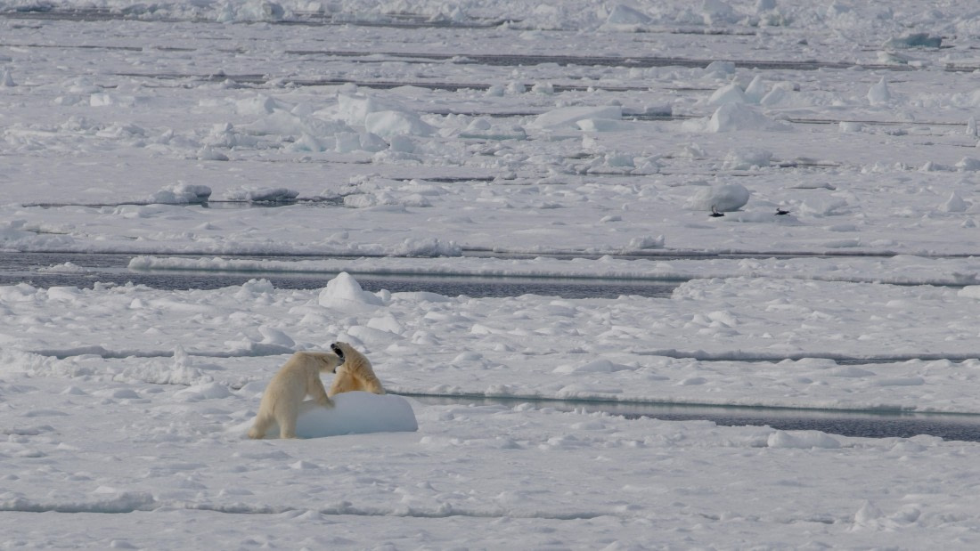 OTL04-26, Day 5, PippaLow-1381© Pippa Low - Oceanwide Expeditions.jpg