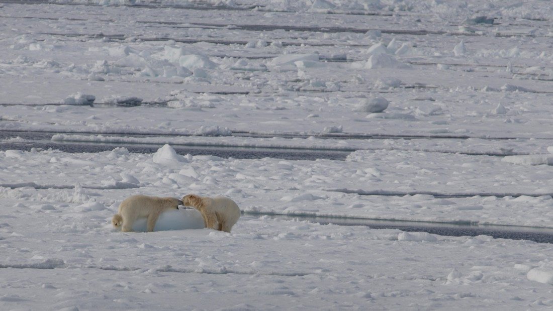 OTL04-26, Day 5, PippaLow-1407© Pippa Low - Oceanwide Expeditions.jpg