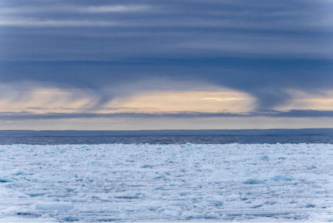 PLA05-26, Day 6, Picture6-1.png © Unknown Photographer - Oceanwide Expeditions.png