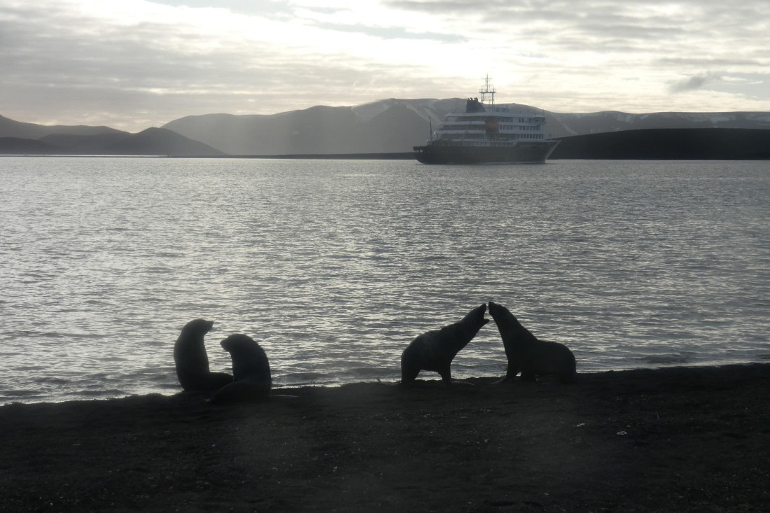 Silhouetten