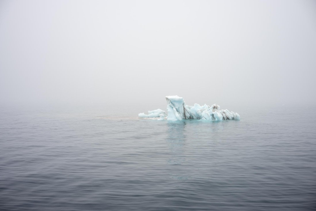 OTL06-26, Day 4, 2026.06.29IX © Unknown photographer - Oceanwide Expeditions.jpg