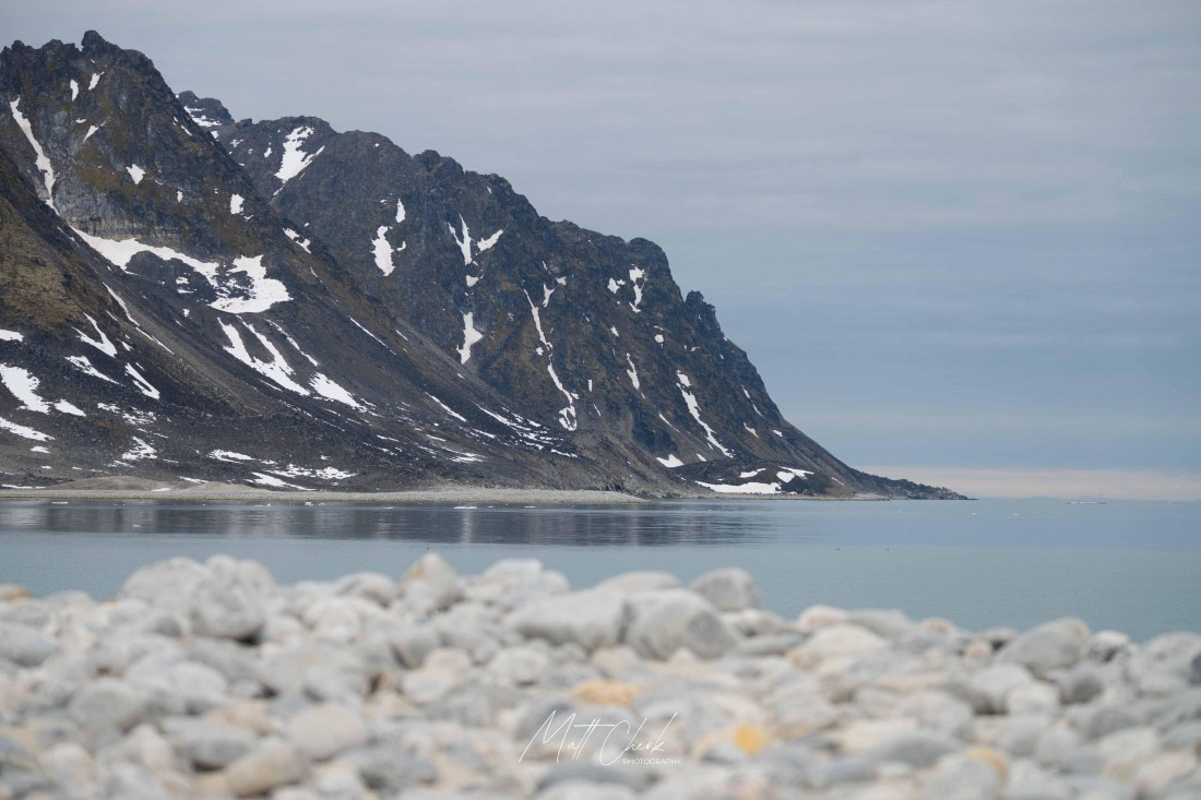 HDS06-26, Day 3, Gravneset, Gullybukta_MattCheok.1 © Matt Cheok - Oceanwide Expeditions.jpg