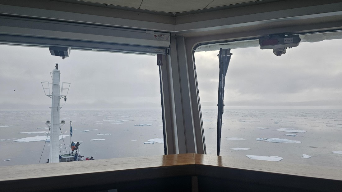 PLA06-26, Day 7, 20260704_220851 © Katrin Frosin - Oceanwide Expeditions.jpg