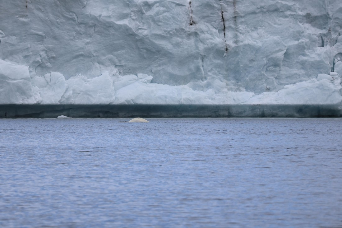 OTL07-26, Day 3, IMG_0943.JPG © Beth Hitchcock - Oceanwide Expeditions.JPG