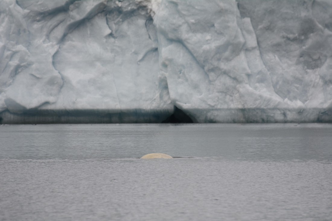 OTL07-26, Day 3, Marco_ (24).JPG © Marco Rosso - Oceanwide Expeditions.JPG