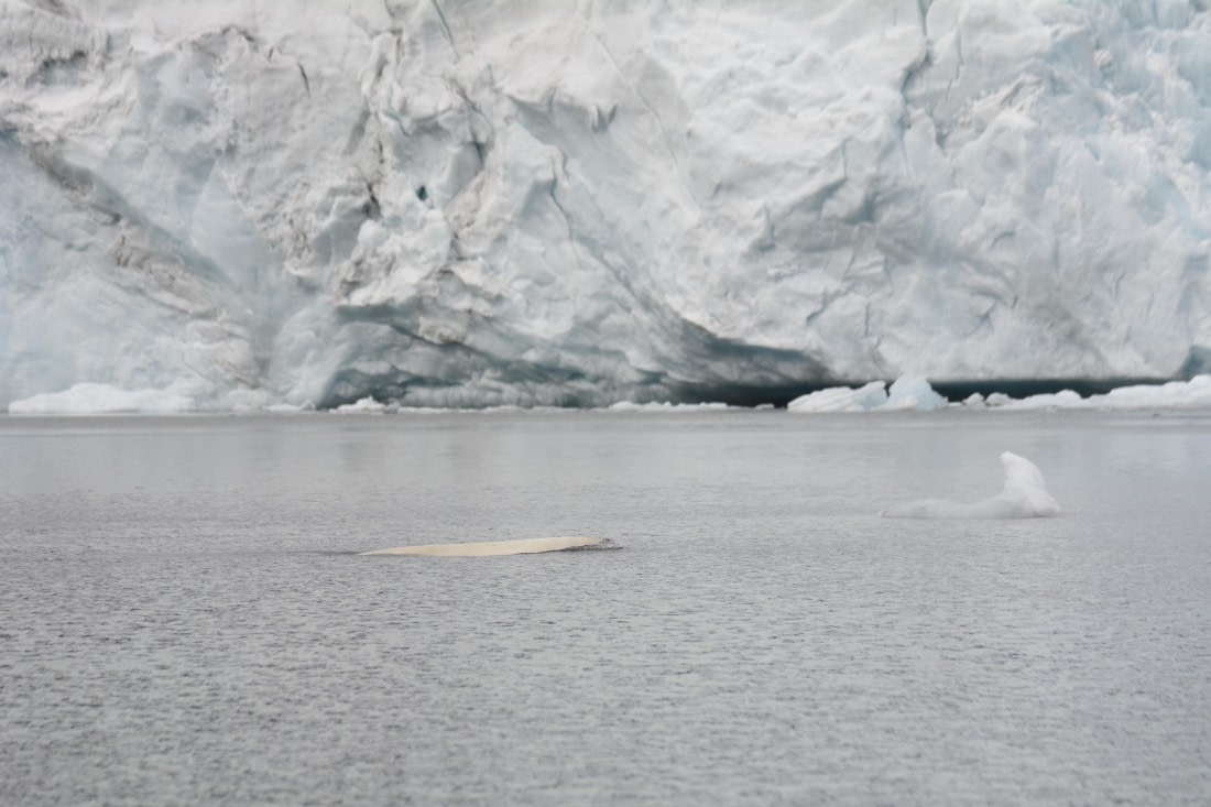 OTL07-26, Day 3, Marco_ (32).JPG © Marco Rosso - Oceanwide Expeditions.JPG