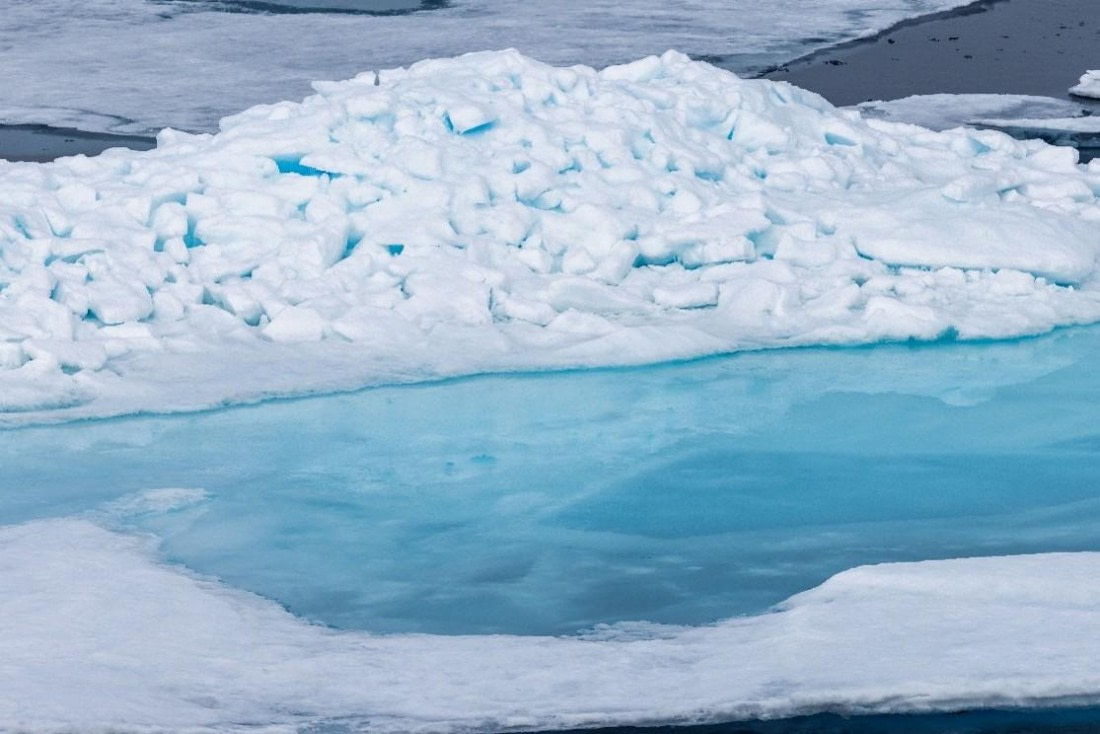 OTL07-26, Day 7, Picture9.jpg © Unknown Photographer - Oceanwide Expeditions.jpg