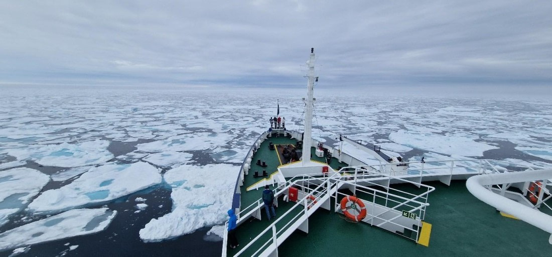 PLA07-26, Day 3, Picture3.jpg © Unknown Photographer - Oceanwide Expeditions.jpg