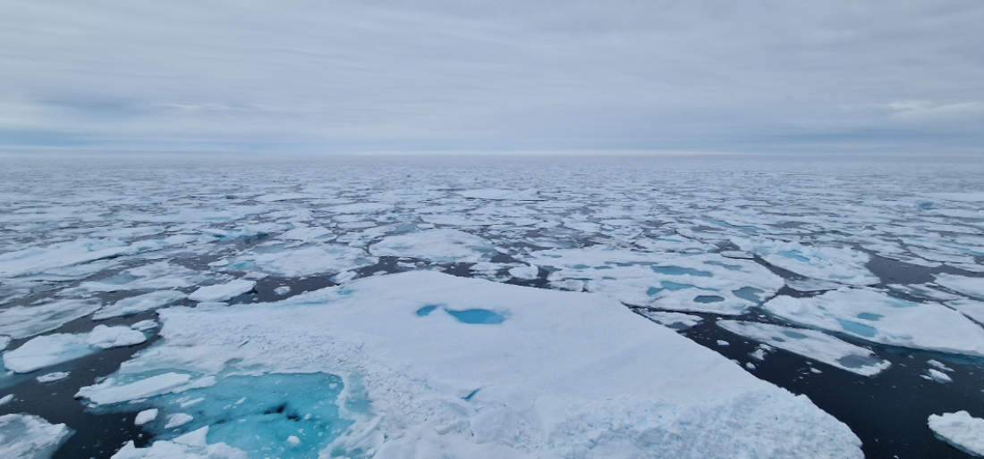 PLA07-26, Day 3, Picture4.png © Unknown Photographer - Oceanwide Expeditions.png