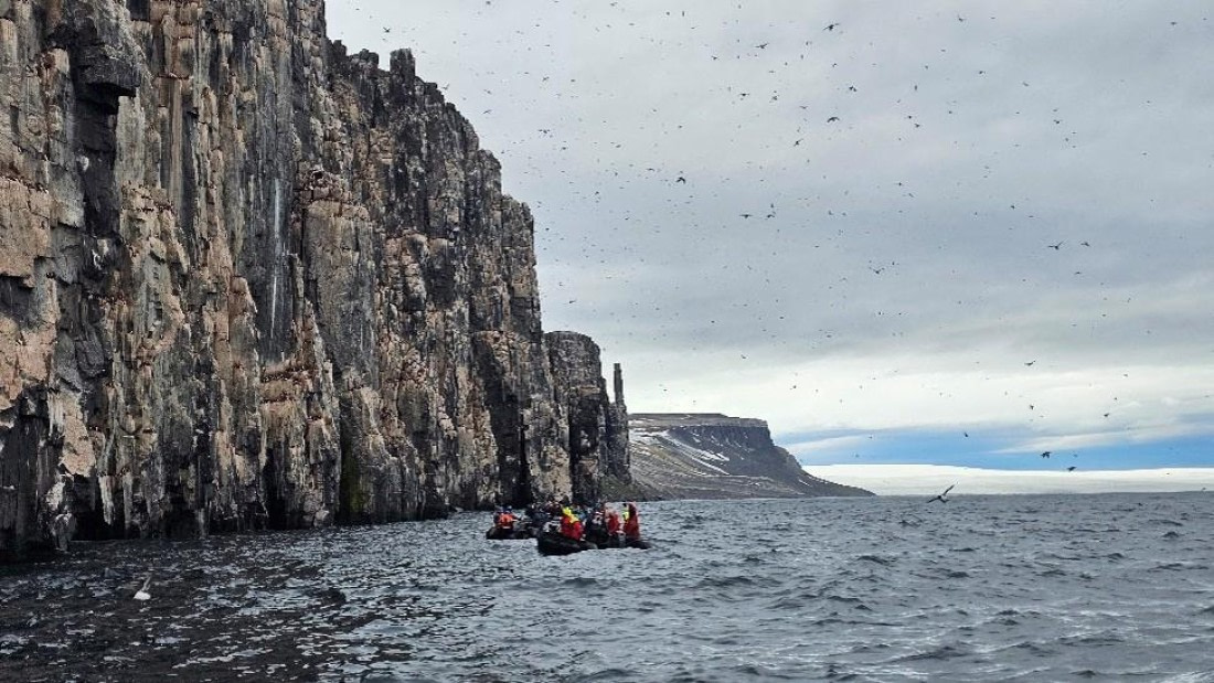 PLA07-26, Day 6, Picture15.jpg © Unknown Photographer - Oceanwide Expeditions.jpg