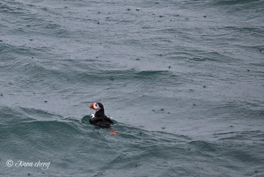 OTL08-26, Day 2, Picture3 © Kana Cheng - Oceanwide Expeditions.jpg