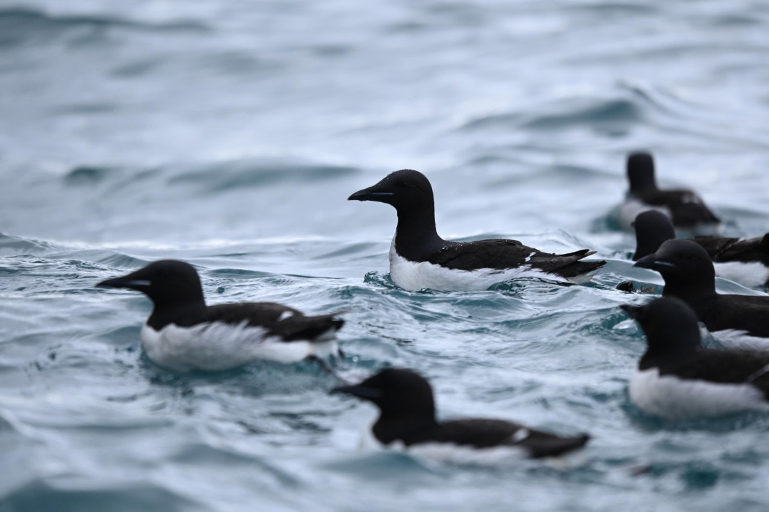 OTL09-26, Day 5, SAS_9929 © Saskia van der Meij - Oceanwide Expeditions.JPG