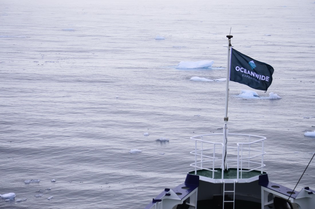 PLA10-26, Day 3, _DSC0947.JPG © Unknown Photographer - Oceanwide Expeditions.JPG