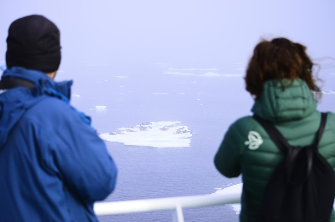 PLA10-26, Day 3, _DSC0963.JPG © Unknown Photographer - Oceanwide Expeditions.JPG