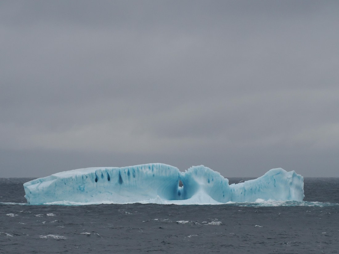 PLA10-26, Day 4, P8061458.JPG © Unknown Photographer - Oceanwide Expeditions.JPG
