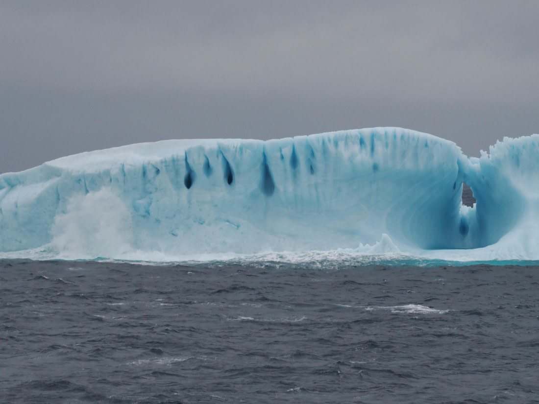 PLA10-26, Day 4, P8061460.JPG © Unknown Photographer - Oceanwide Expeditions.JPG