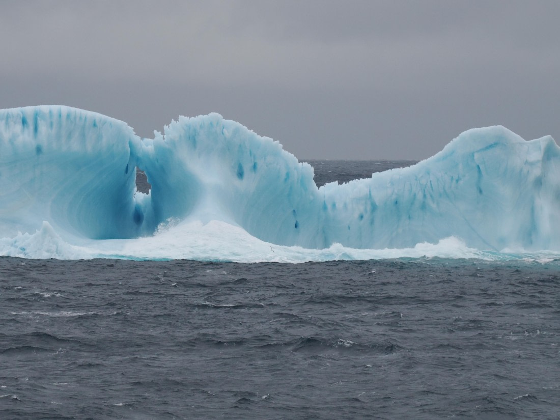 PLA10-26, Day 4, P8061461.JPG © Unknown Photographer - Oceanwide Expeditions.JPG
