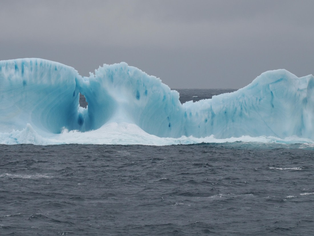 PLA10-26, Day 4, P8061462.JPG © Unknown Photographer - Oceanwide Expeditions.JPG