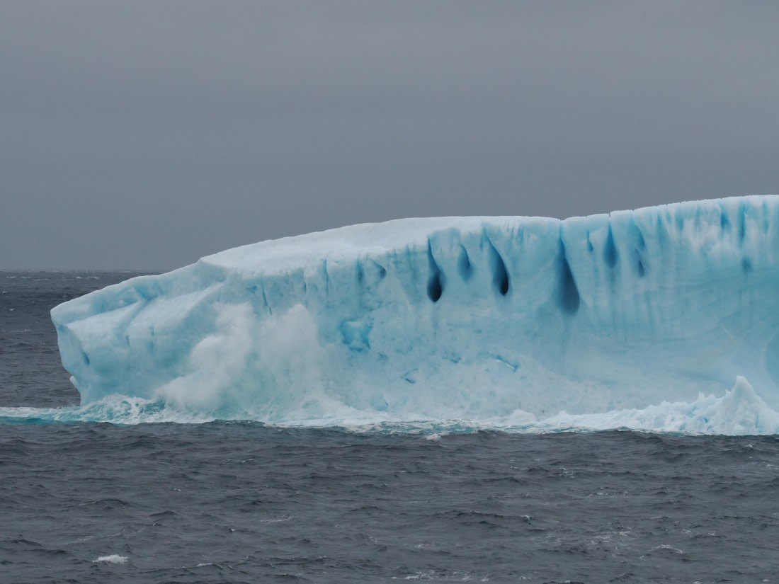 PLA10-26, Day 4, P8061463.JPG © Unknown Photographer - Oceanwide Expeditions.JPG