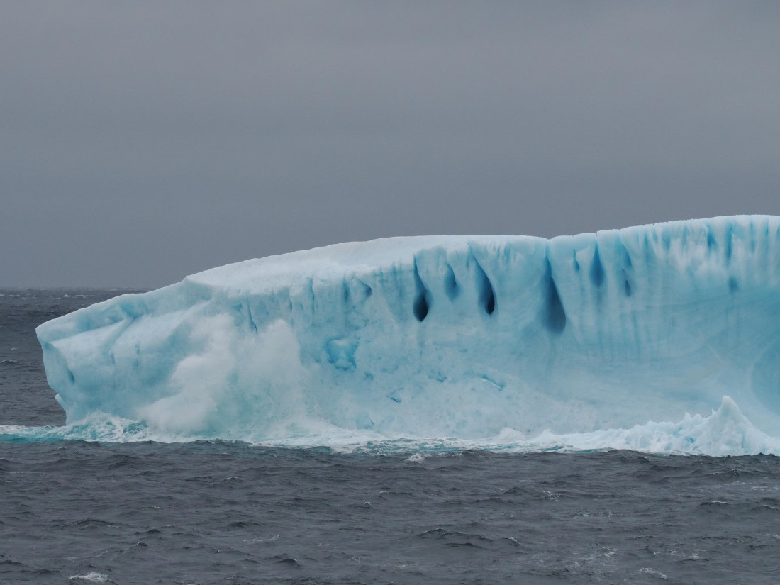 PLA10-26, Day 4, P8061464.JPG © Unknown Photographer - Oceanwide Expeditions.JPG