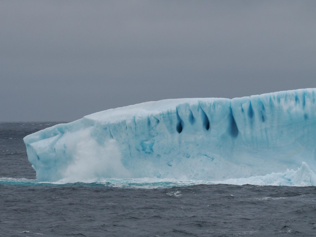 PLA10-26, Day 4, P8061466.JPG © Unknown Photographer - Oceanwide Expeditions.JPG