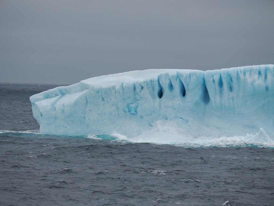 PLA10-26, Day 4, P8061467.JPG © Unknown Photographer - Oceanwide Expeditions.JPG