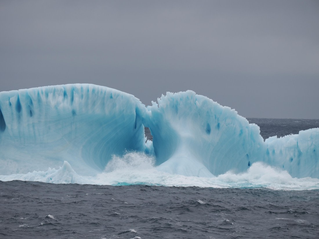 PLA10-26, Day 4, P8061469.JPG © Unknown Photographer - Oceanwide Expeditions.JPG