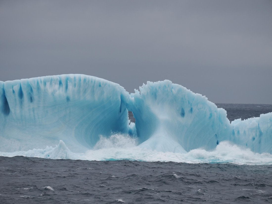 PLA10-26, Day 4, P8061470.JPG © Unknown Photographer - Oceanwide Expeditions.JPG