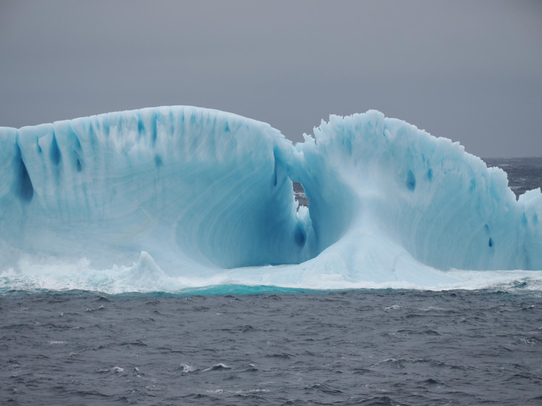 PLA10-26, Day 4, P8061471.JPG © Unknown Photographer - Oceanwide Expeditions.JPG
