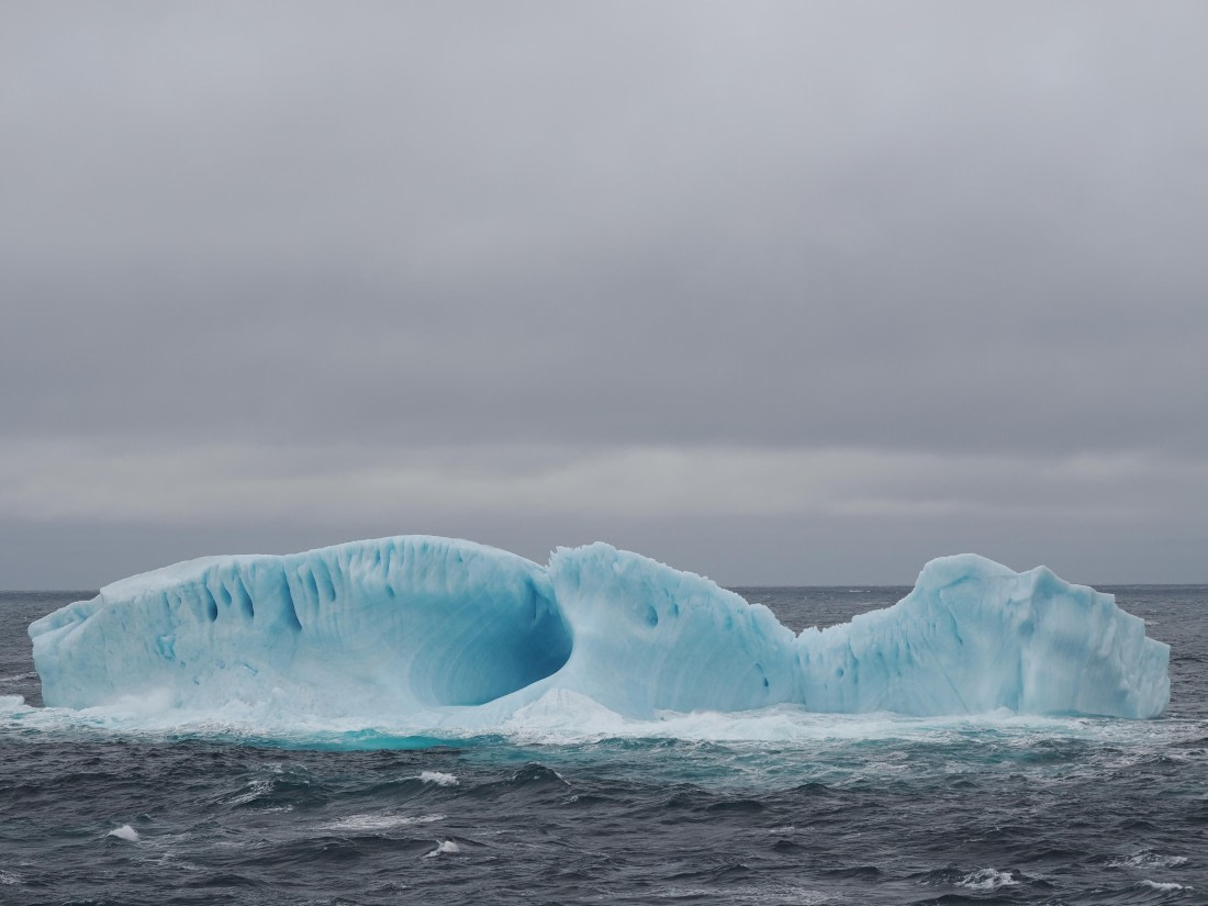PLA10-26, Day 4, P8061473.JPG © Unknown Photographer - Oceanwide Expeditions.JPG
