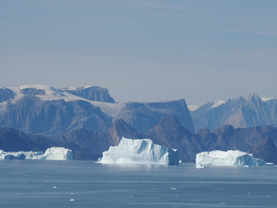 PLA10-26, Day 8, P8111557.JPG © Unknown Photographer - Oceanwide Expeditions.JPG