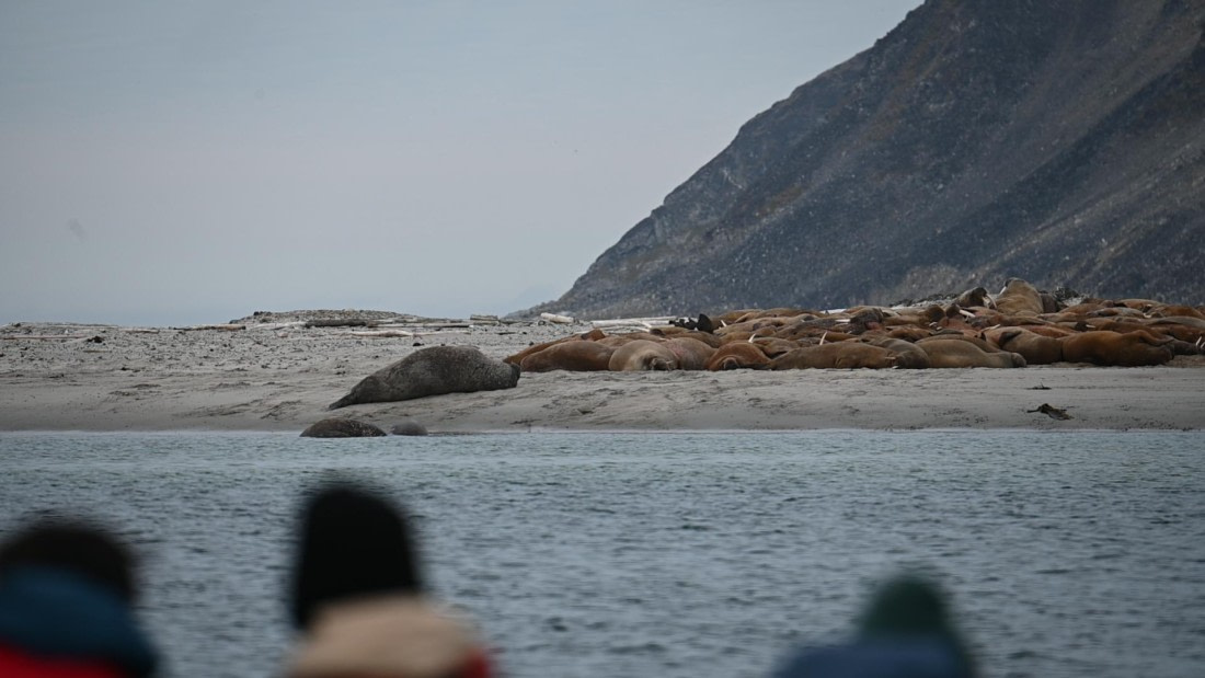 HDS10-26, Day 2, DSC_1667.JPG © Jade Heister - Oceanwide Expeditions.JPG
