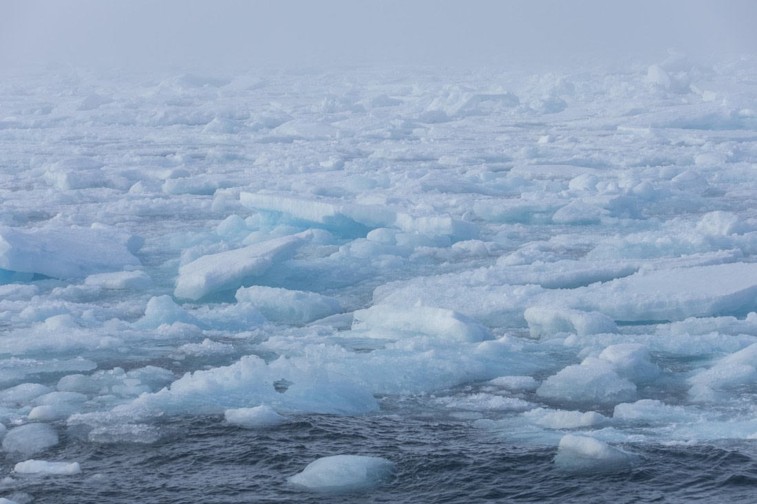 HDS10-26, Day 3, 5D5A5556.jpg © Koen Jongerling - Oceanwide Expeditions.jpg