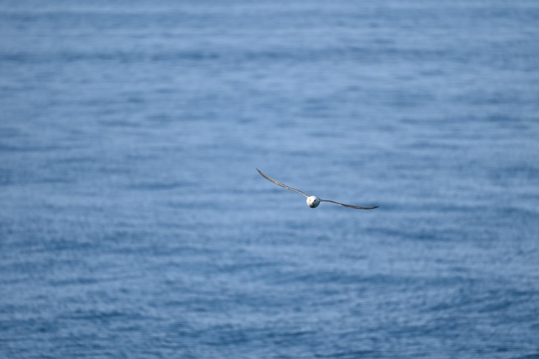 HDS10-26, Day 8, DSC_3482.JPG © Renno Hokwerda - Oceanwide Expeditions.JPG