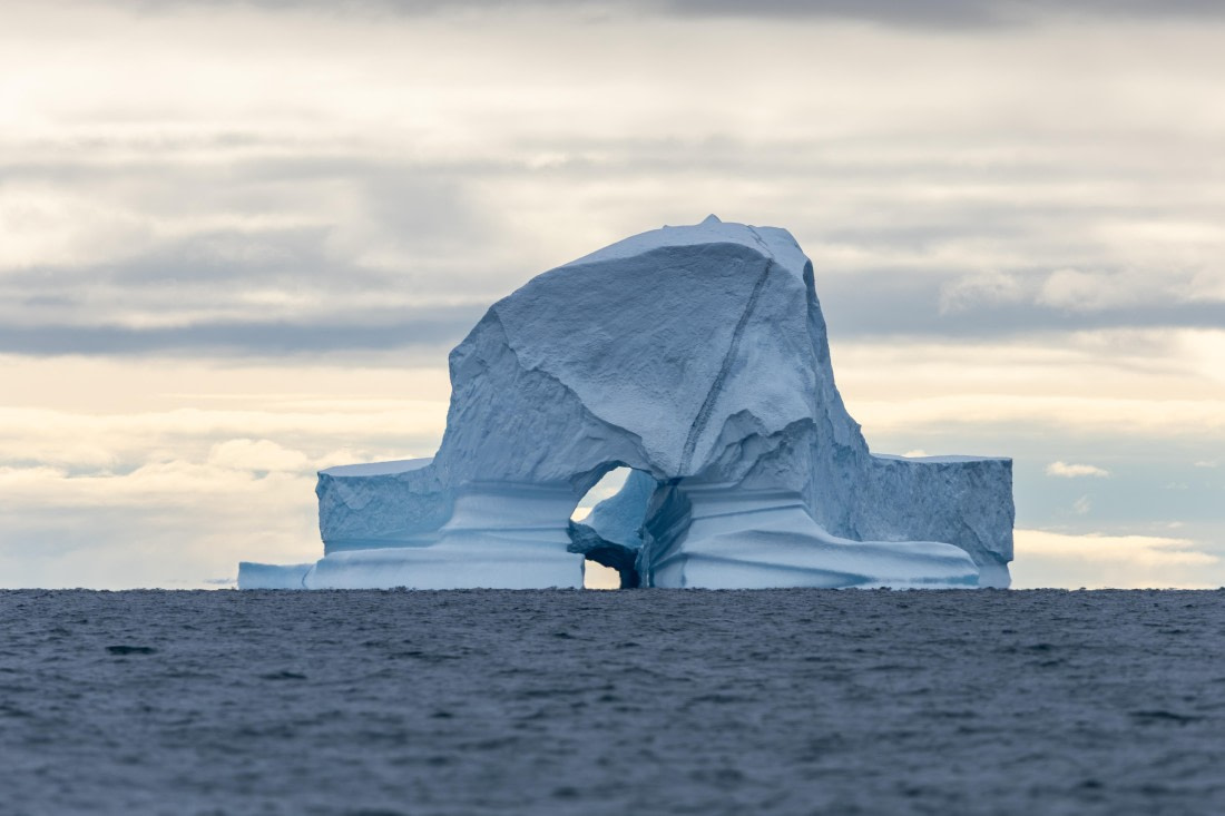 HDS10-26, Day 12, 5D5A6629.jpg © Koen Jongerling - Oceanwide Expeditions.jpg