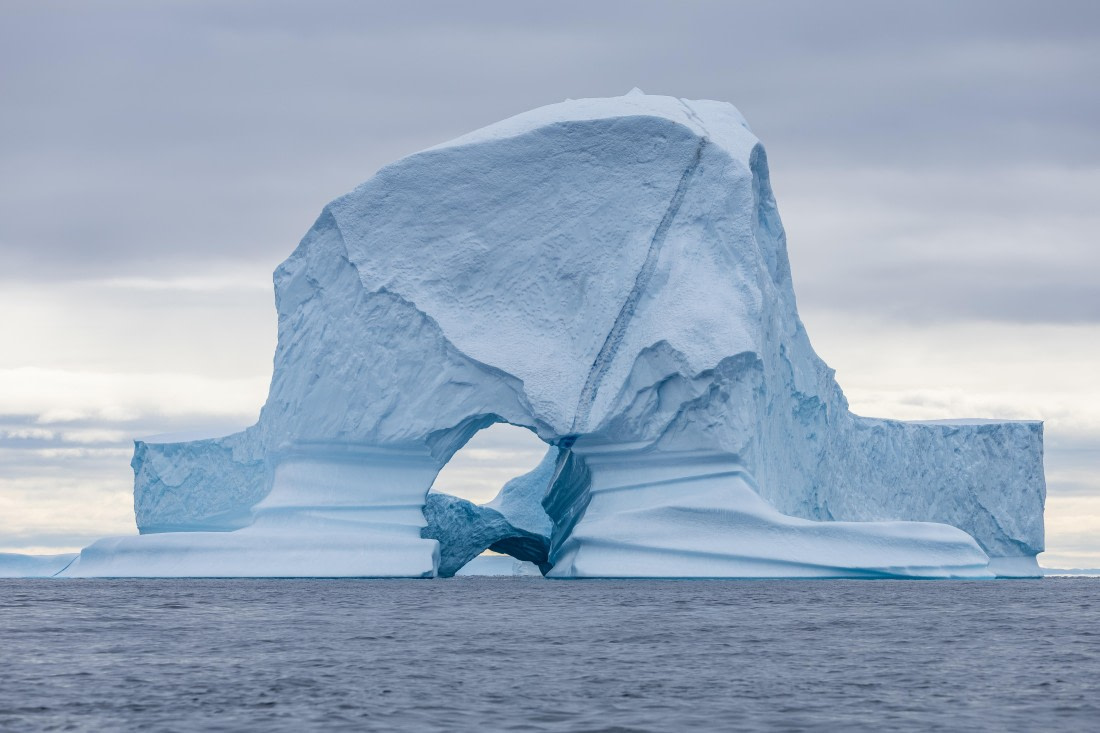 HDS10-26, Day 12, 5D5A6656.jpg © Koen Jongerling - Oceanwide Expeditions.jpg
