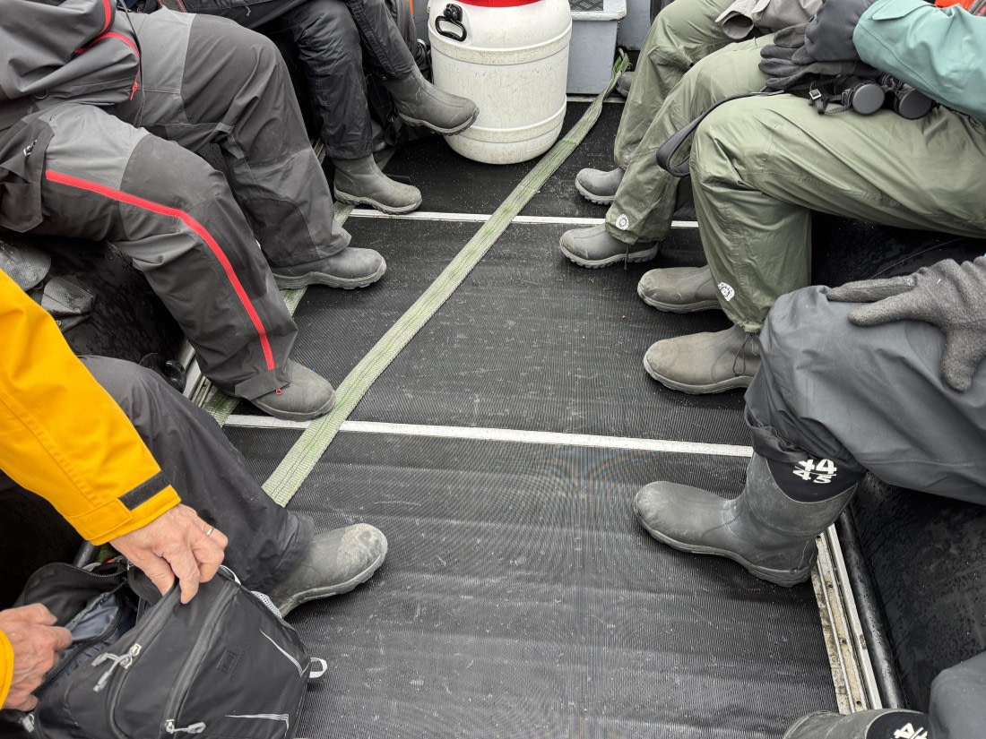 PLA11-26, Day 7, IMG_2548.JPG © Unknown Photographer - Oceanwide Expeditions.JPG