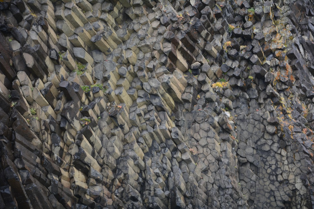 PLA11-26, Day 7, Triplog_Marco (33).JPG © Marco Rosso - Oceanwide Expeditions.JPG