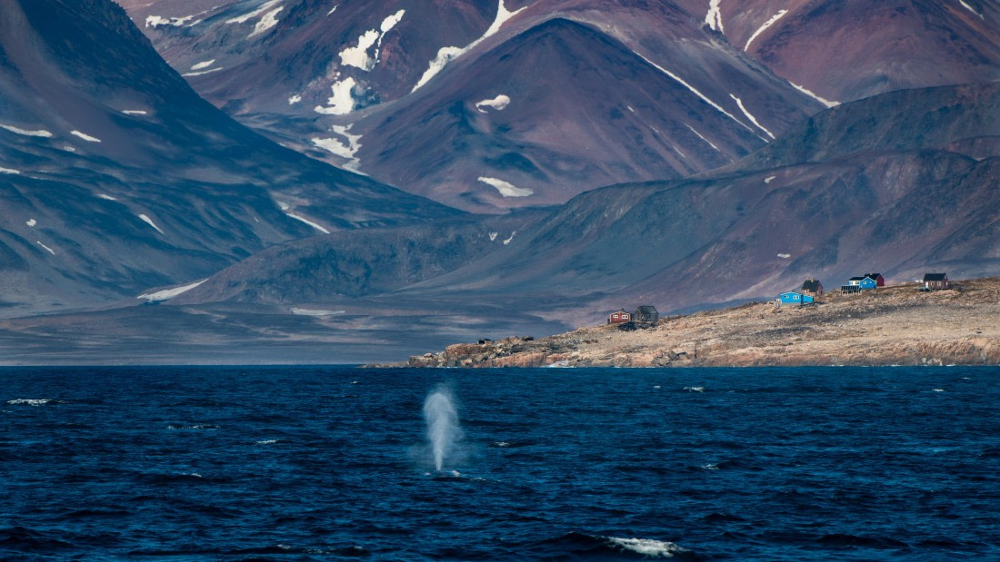 HDS11-26, Day 4, HDS11-2026_-_Sasha_-_2026-08-18_-_0018.jpg © Alexander Romanovskiy - Oceanwide Expeditions.jpg